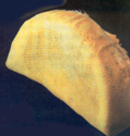 Elasticated Lemon Wedge Bag